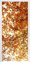 Deursticker Boom - Herfstbladeren - Seizoenen - Landelijk - 85x205 cm - Deurposter