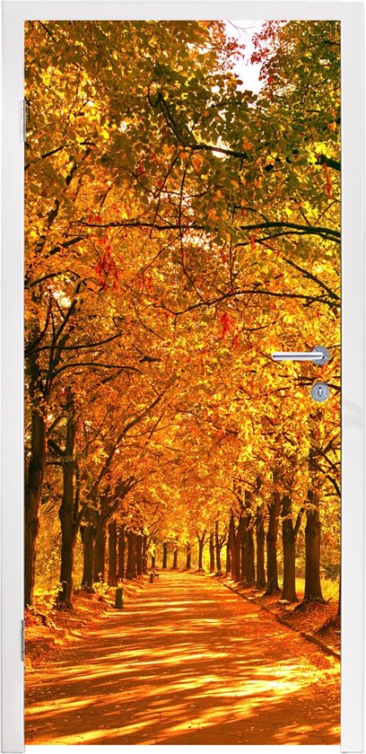 Deurposter 75x205 cm - Deursticker Bos - Herfst - Seizoenen - Landelijk - Meubelfolie zelfklevend - Deurfolie woonkamer - Interieurfolie fotobehang - Deur plakfolie - Deurstickers - Deurbehang sticker - Kamer decoratie