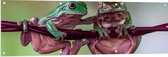 Tuinposter – Groen paarse kikkers hangen aan een paarse tak - 150x50 cm Foto op Tuinposter (wanddecoratie voor buiten en binnen)
