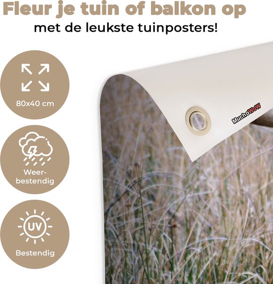 Tuinposter 80x40 cm - Tuindecoratie Schotse Hooglander - Hoorns - Gras - Poster voor in de tuin - Buiten decoratie - Schutting tuinschilderij - Tuindoek muurdecoratie - Wanddecoratie balkondoek