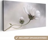 Canvas Schilderij Bloemen - Stilleven - Natuur - Grijs - 40x20 cm - Wanddecoratie