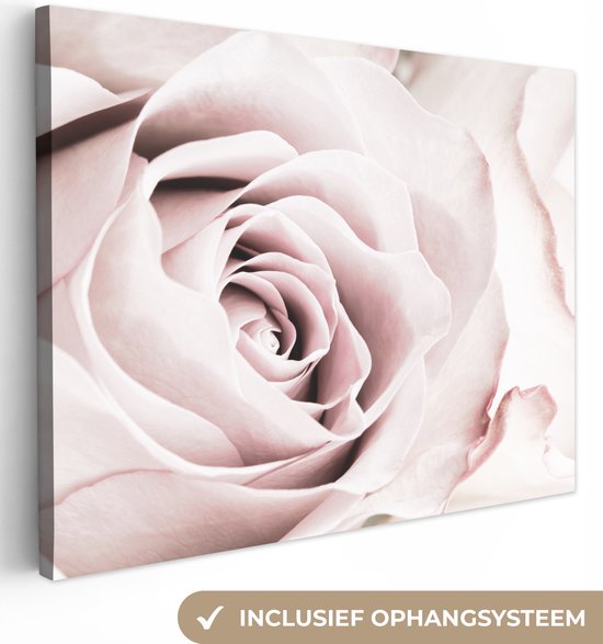 Canvas Schilderij Bloemen - Roos - Roze - Botanisch - 40x30 cm - Wanddecoratie