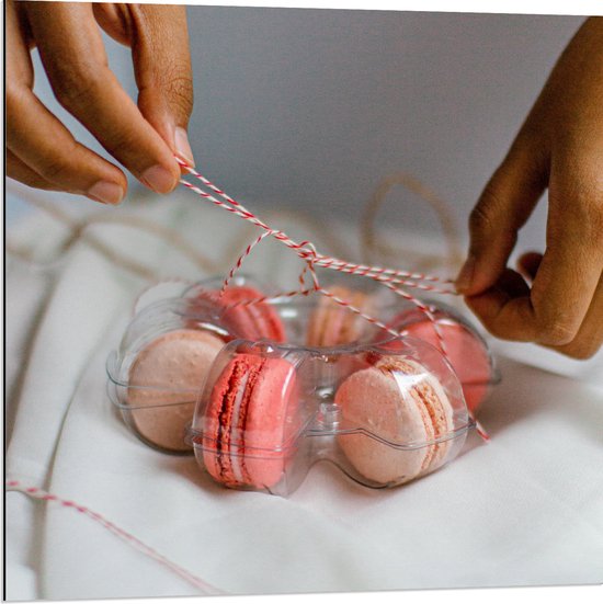 Dibond - Macarons in Plastic Bakje met Strik - 80x80 cm Foto op Aluminium (Met Ophangsysteem)