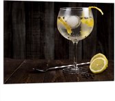 Dibond - Gin Tonic met Citroenschijfjes - 100x75 cm Foto op Aluminium (Met Ophangsysteem)