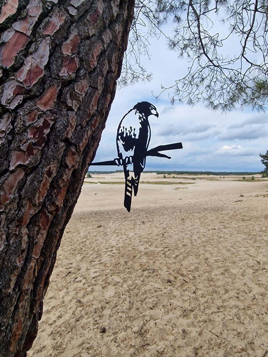 Metalen Boom Prikker - Boom Steker - Sperwer - Havik - Valk - Buizerd - Sparrowhawk - Buzzard - Hawk - Metalen Vogel - Tuin Vogel - Tuin Hanger - Tuindecoratie - Metal Bird - Falcon - Garden Ornament