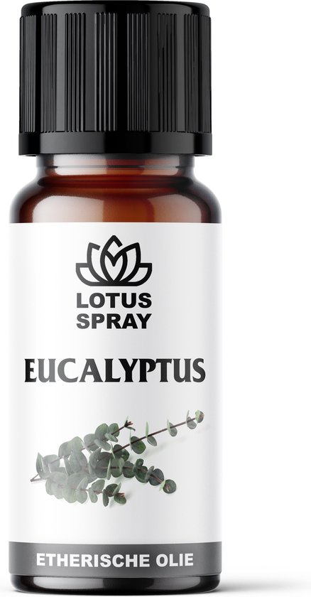 Eucalyptus - Etherische olie [10ml]