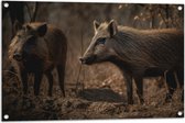Tuinposter – Bruine zwijnen in een bos omgeving - 90x60 cm Foto op Tuinposter (wanddecoratie voor buiten en binnen)