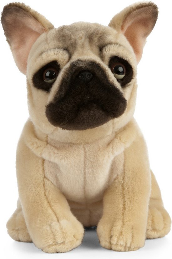 Pluche Franse Bulldog hond knuffel 25 cm -Honden huisdieren knuffels - Speelgoed voor kinderen