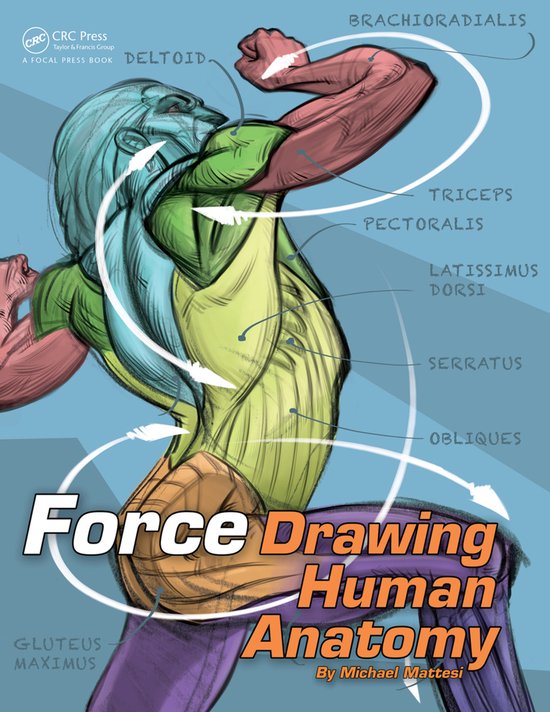 Force: Drawing Human Anatomy - cover