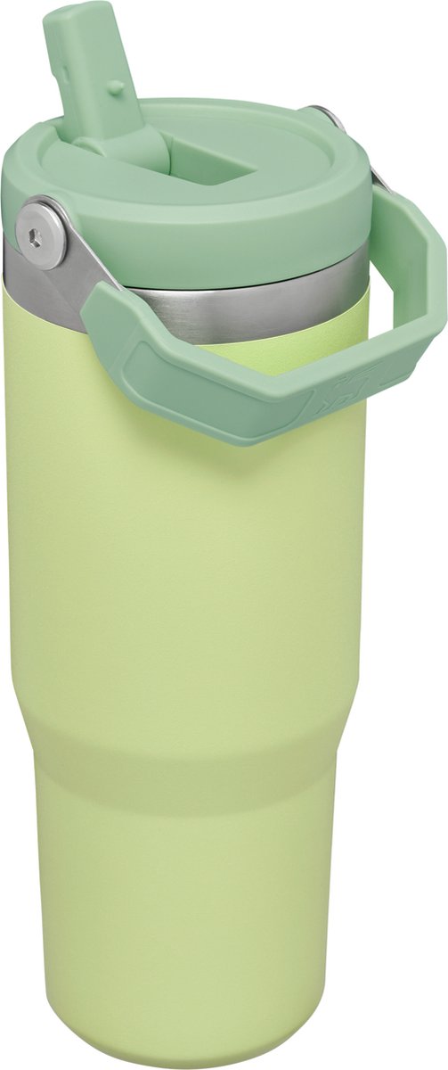 Stanley Ice Flow Flip Straw Water Bottle 22oz Aloe Green Tiktok