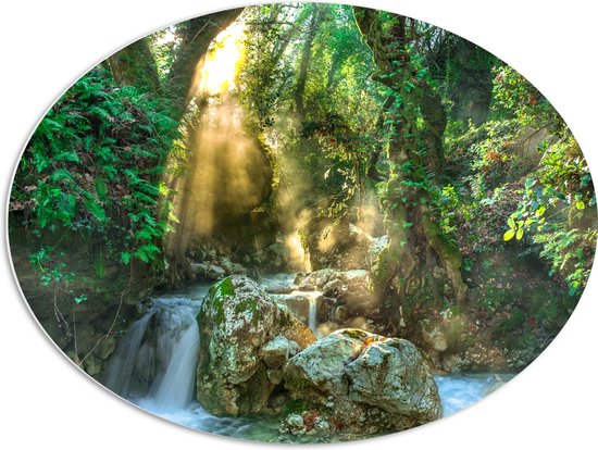 PVC Schuimplaat Ovaal - Water - Waterval - Planten - Bomen - Stenen - Zon - 80x60 cm Foto op Ovaal (Met Ophangsysteem)