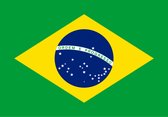 Braziliaanse Vlag 40x60cm