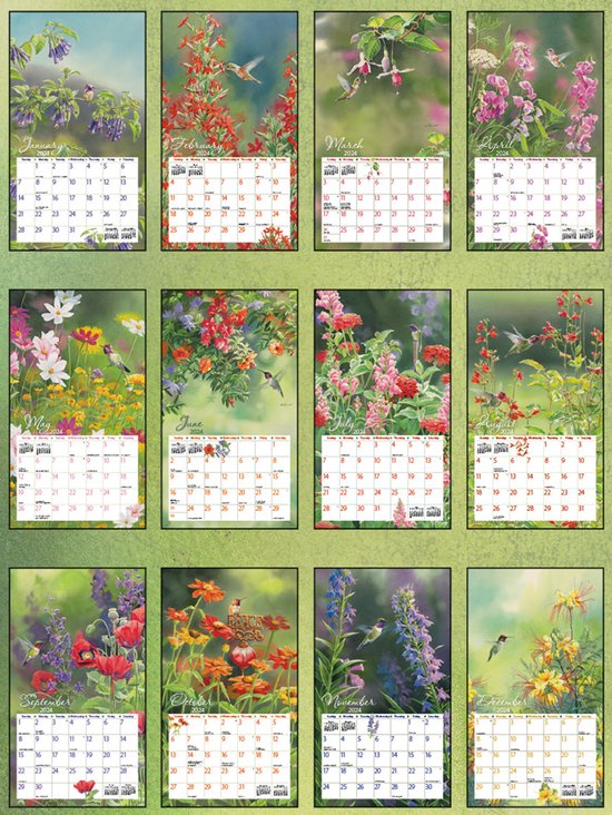 Hummingbirds Kalender 2024 LANG bol