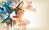 Fotobehang - Vlies Behang - Kolibrie - Vogel - 254 x 184 cm