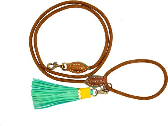 DWAM Hondenriem Rover Bruin S 155 x 1 cm - Hond