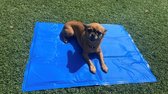 Comfort koelmat - 60x80 cm - blauw - koelmat voor honden - koelmat voor katten - gelmat - huisdieren - makkelijk schoon te maken - hondenmat - middelgrote honden