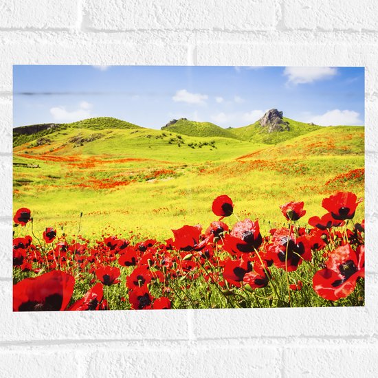 Muursticker - Groep Rode Bloemen in Heuvellandschap - 40x30 cm Foto op Muursticker