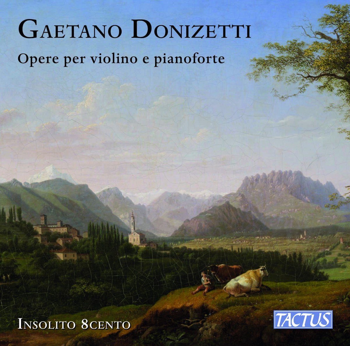 Insolito 8Cento - Donizetti: Works For Violin & Piano (CD)