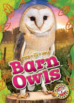 Who's Hoo? Owls! - Barn Owls