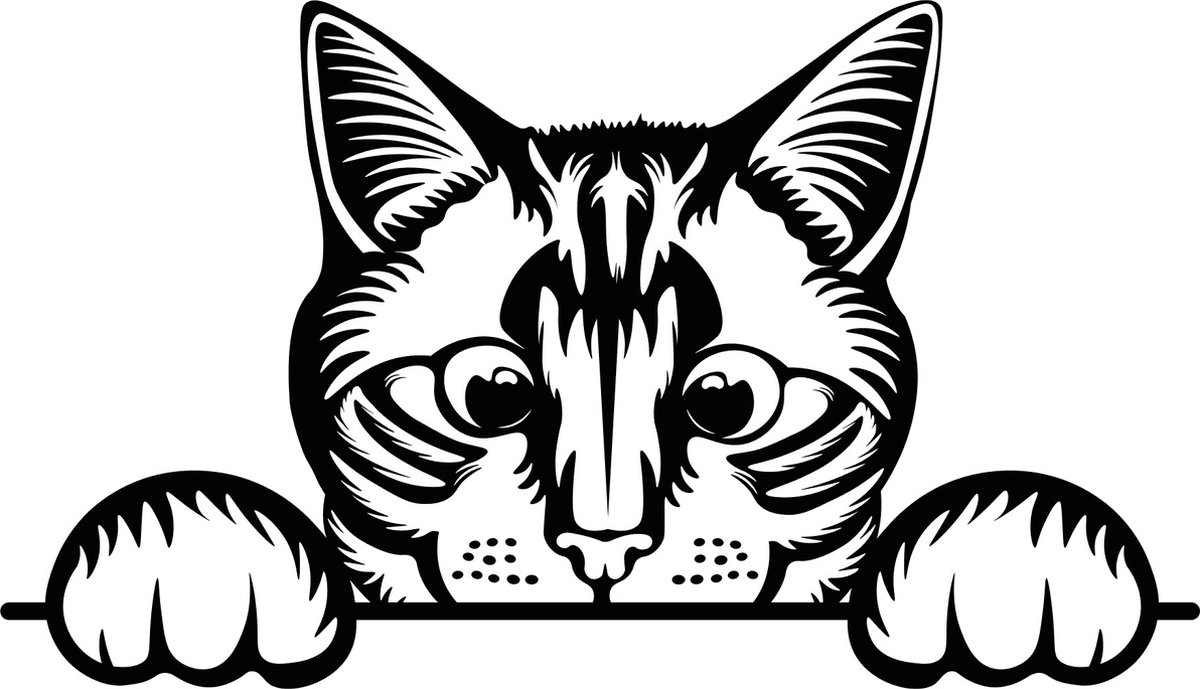 Auto raam sticker - auto tuning - muursticker grappige gluurkat - poes -