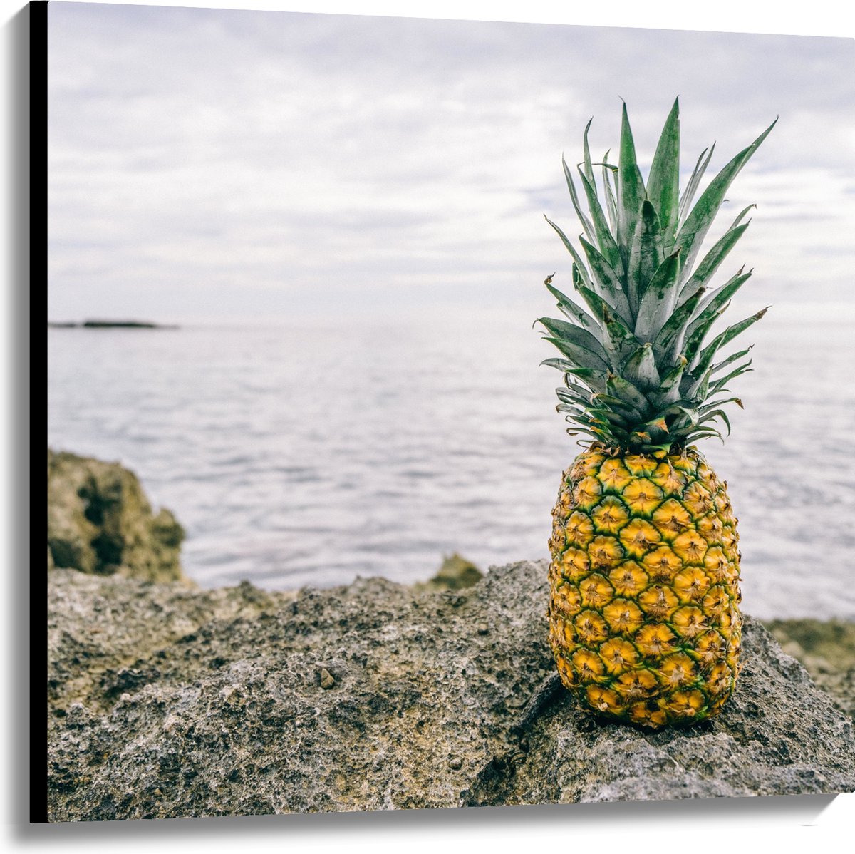 Canvas - Ananas - Rotsen - Zee - Golven - 100x100 cm Foto op Canvas Schilderij (Wanddecoratie op Canvas)