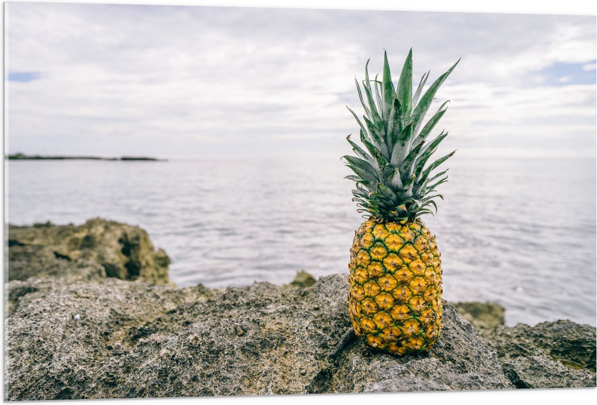Acrylglas - Ananas - Rotsen - Zee - Golven - 105x70 cm Foto op Acrylglas (Wanddecoratie op Acrylaat)