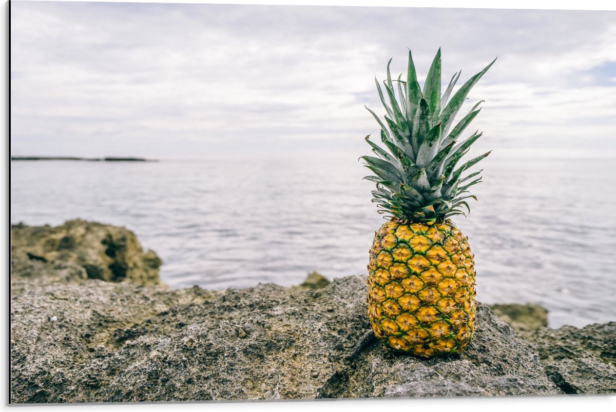 Dibond - Ananas - Rotsen - Zee - Golven - 75x50 cm Foto op Aluminium (Wanddecoratie van metaal)