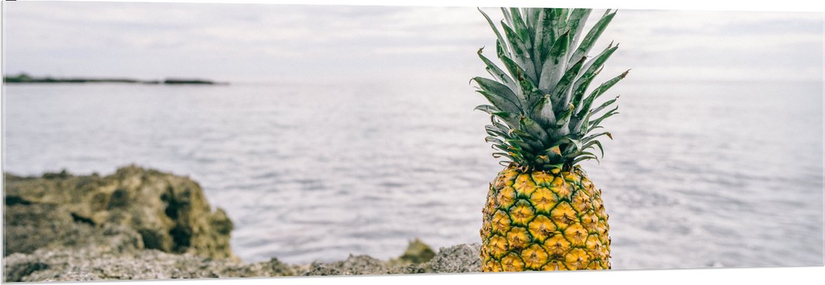 Acrylglas - Ananas - Rotsen - Zee - Golven - 150x50 cm Foto op Acrylglas (Met Ophangsysteem)
