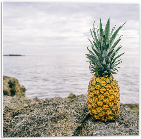 PVC Schuimplaat - Ananas - Rotsen - Zee - Golven - 50x50 cm Foto op PVC Schuimplaat (Met Ophangsysteem)