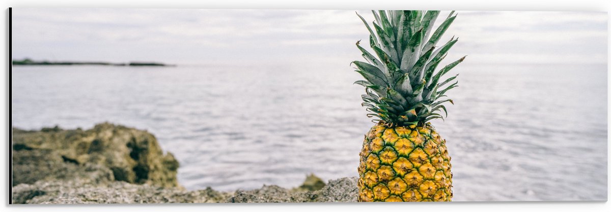 Dibond - Ananas - Rotsen - Zee - Golven - 60x20 cm Foto op Aluminium (Wanddecoratie van metaal)
