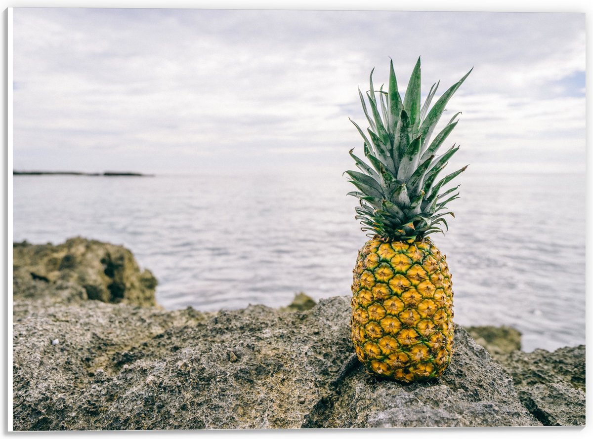 PVC Schuimplaat- Ananas - Rotsen - Zee - Golven - 40x30 cm Foto op PVC Schuimplaat