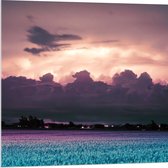Acrylglas - Zonsondergang - Landschap - Wolken - Kleuren - 80x80 cm Foto op Acrylglas (Wanddecoratie op Acrylaat)