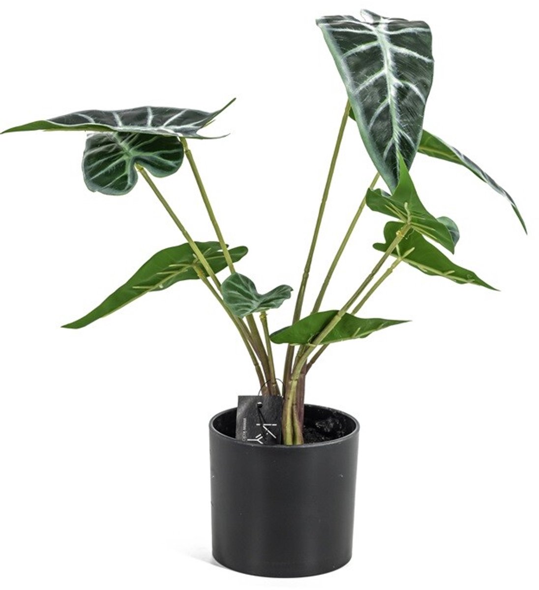 Alocasia kunstplant in pot