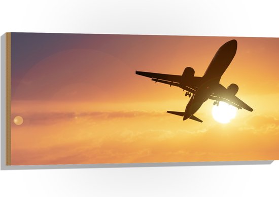 Hout - Silhouet van Passagiersvliegtuig Vliegend langs de Zon - 100x50 cm - 9 mm dik - Foto op Hout (Met Ophangsysteem)