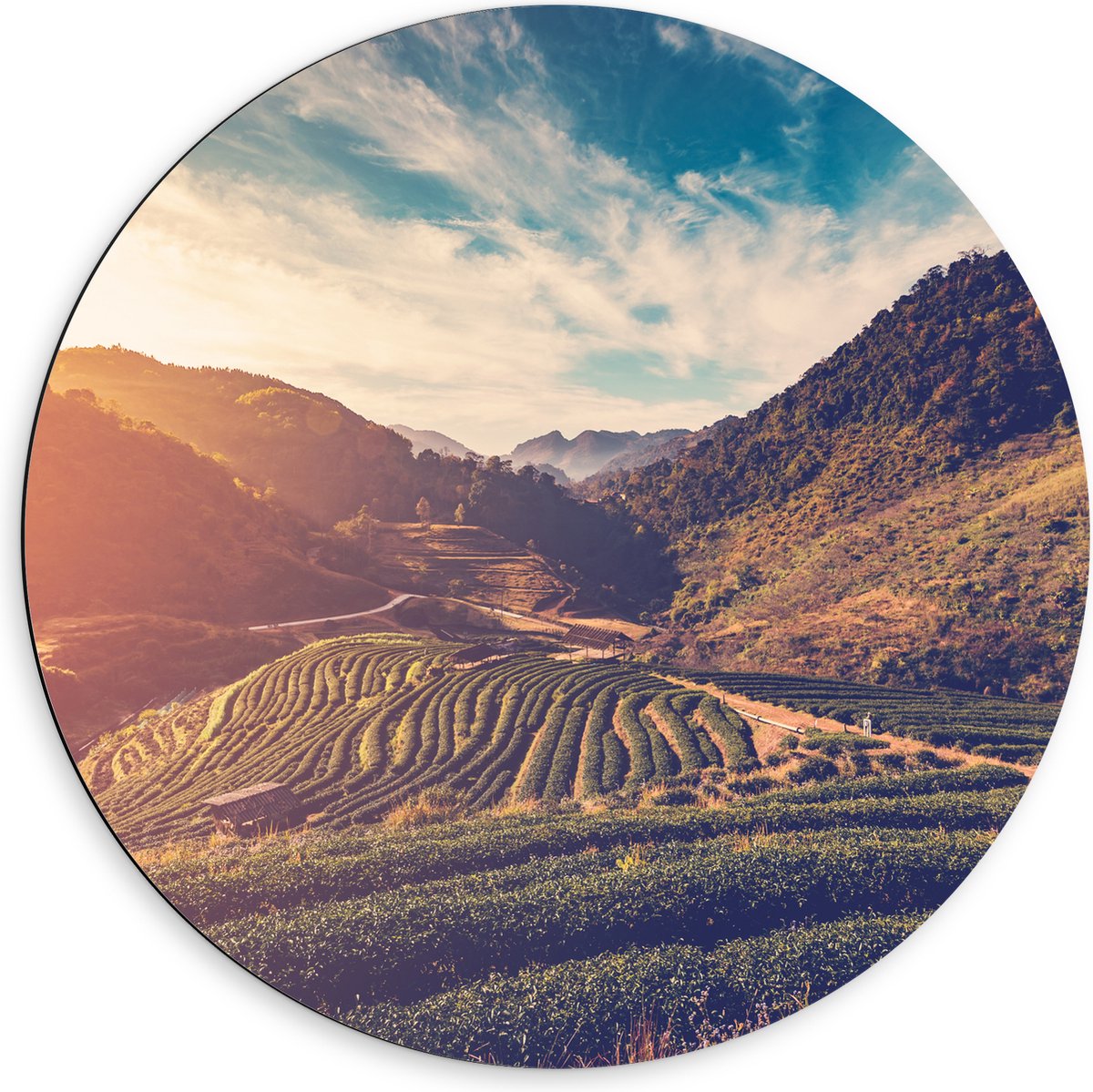 Dibond Muurcirkel - Sluierbewolking over Natuurrijk Landschap - 60x60 cm Foto op Aluminium Muurcirkel (met ophangsysteem)