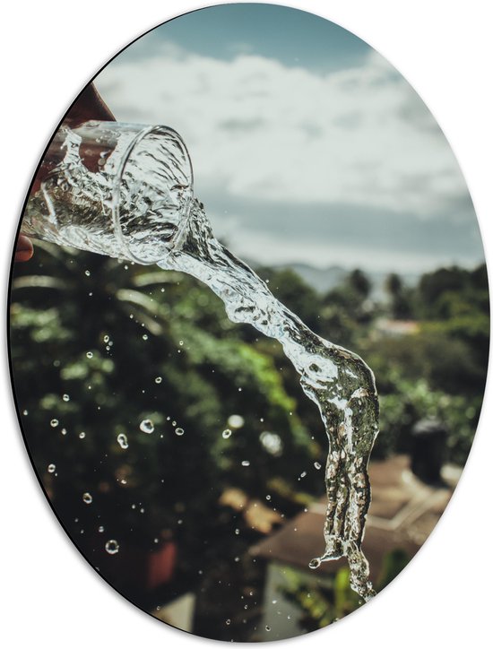 Dibond Ovaal - Hand - Glas - Water - Druppels - Bomen - 42x56 cm Foto op Ovaal (Met Ophangsysteem)
