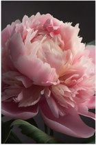 Poster Glanzend – Roze Roos - 60x90 cm Foto op Posterpapier met Glanzende Afwerking