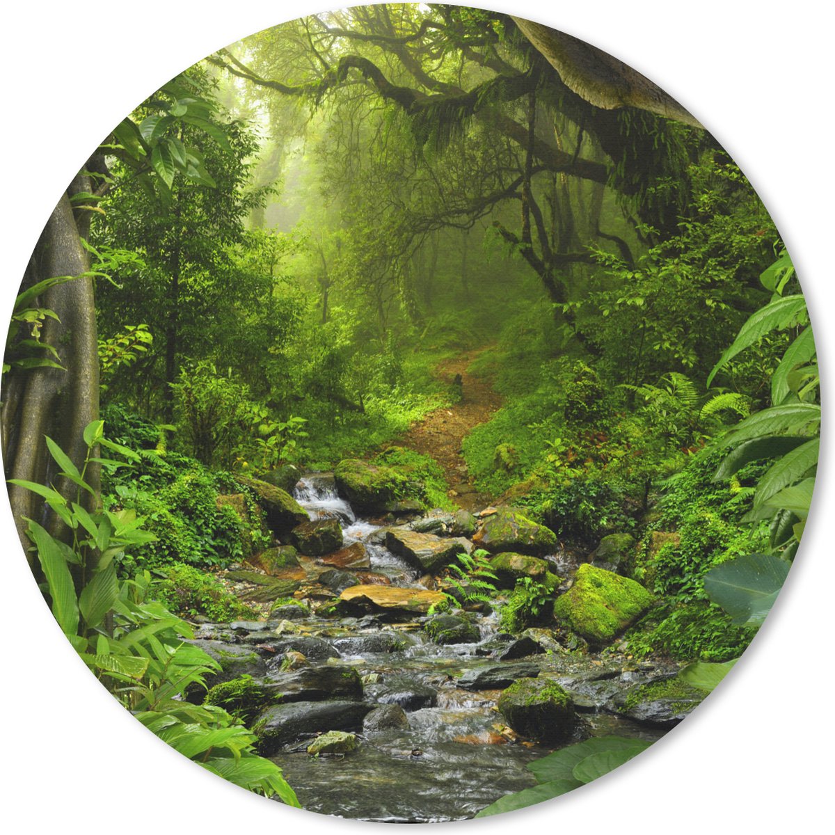 Muismat rond 40x40 cm - Mousepad Natuur - Water - Jungle - Bos - Tropisch - Ronde muismatten