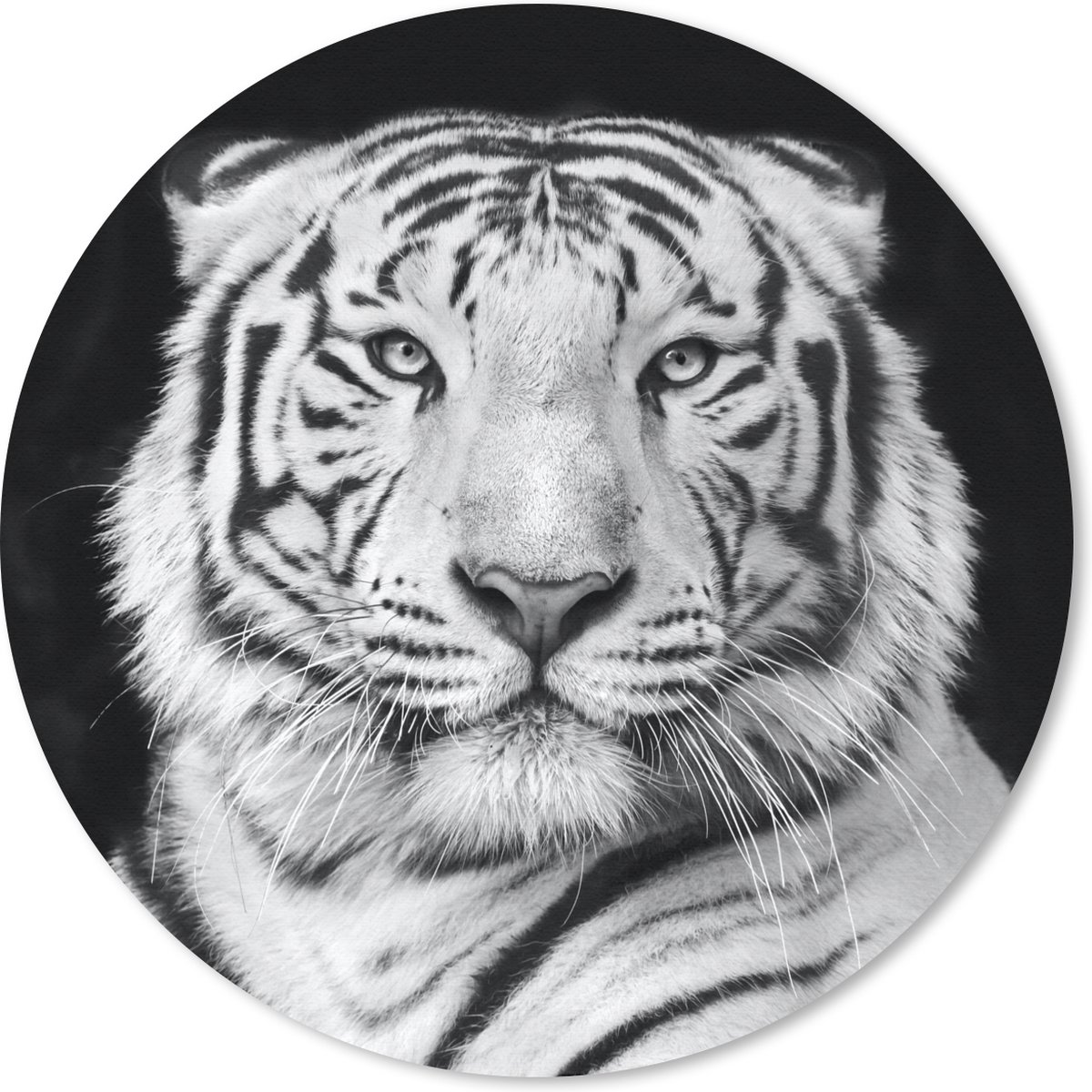 Muismat rond 40x40 cm - Mousepad Tijger - Zwart - Wit - Portret - Dieren - Ronde muismatten