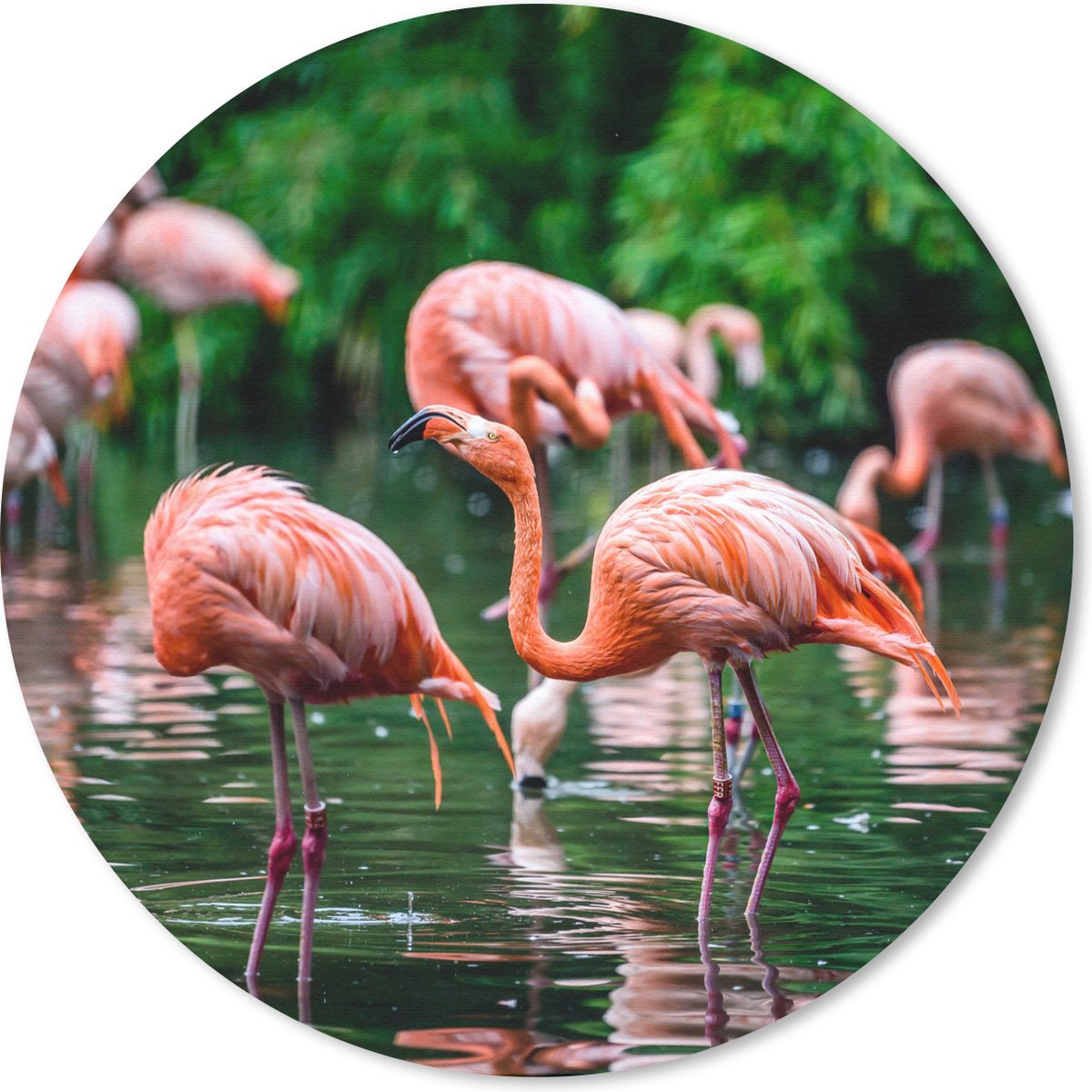Muismat rond 30x30 cm - Mousepad Flamingo - Tropisch - Vogel - Water - Roze - Ronde muismatten