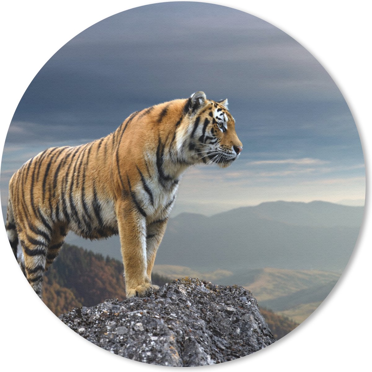 Muismat rond 20x20 cm - Mousepad Tijger - Berg - Natuur - Landschap - Ronde muismatten