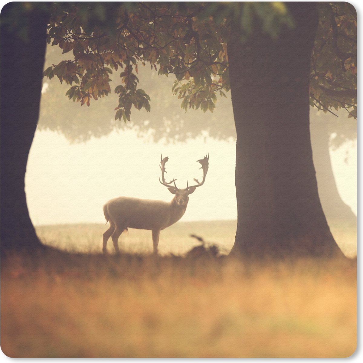 Muismat 30x30 cm - Mousepad Hert - Bomen - Bos - Muismatten