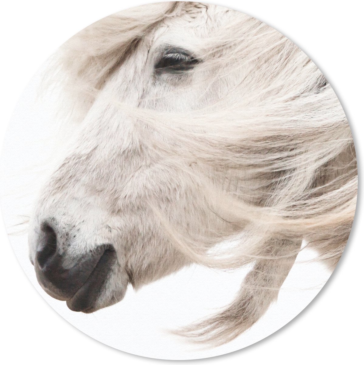 Muismat rond 20x20 cm - Mousepad Paard - Manen - Wit - Ronde muismatten
