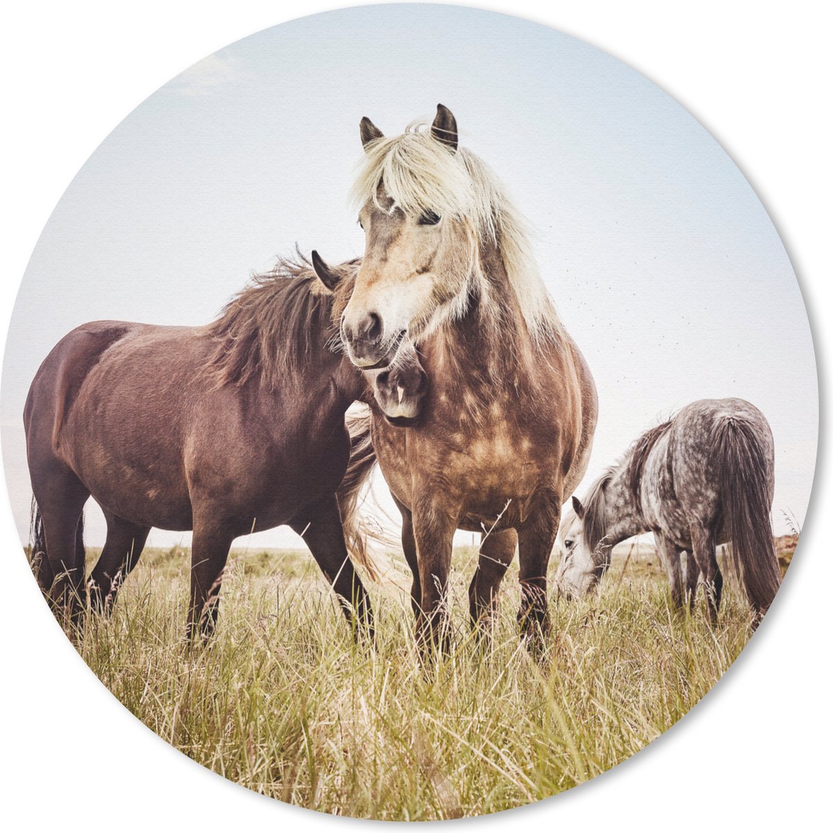 Muismat rond 30x30 cm - Mousepad Paarden - Gras - Lente - Ronde muismatten