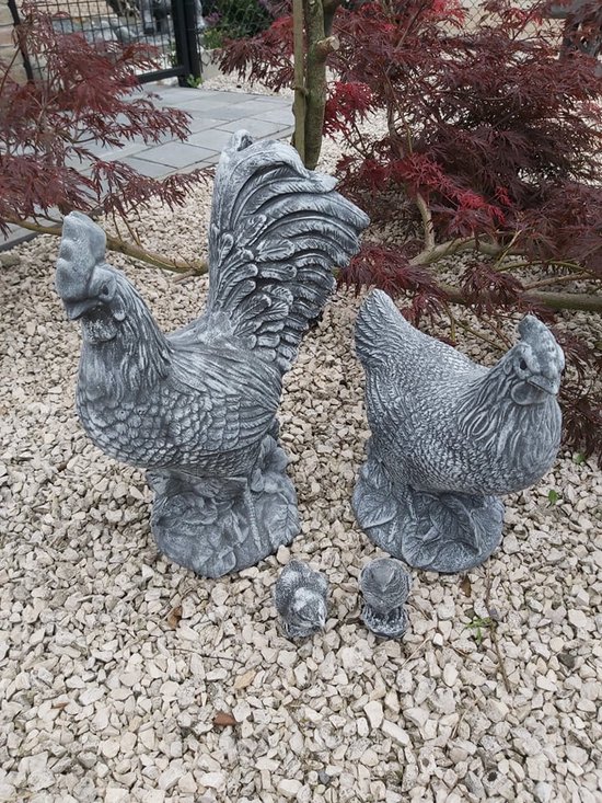 Statue de coq en béton statue de jardin en béton de 40cm de haut bol