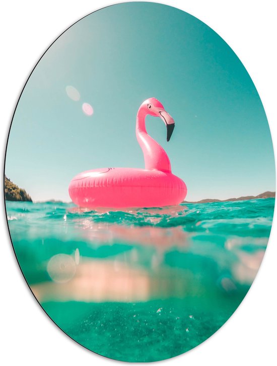Dibond Ovaal - Water - Blauw - Flamingo - Roze - 72x96 cm Foto op Ovaal (Met Ophangsysteem)