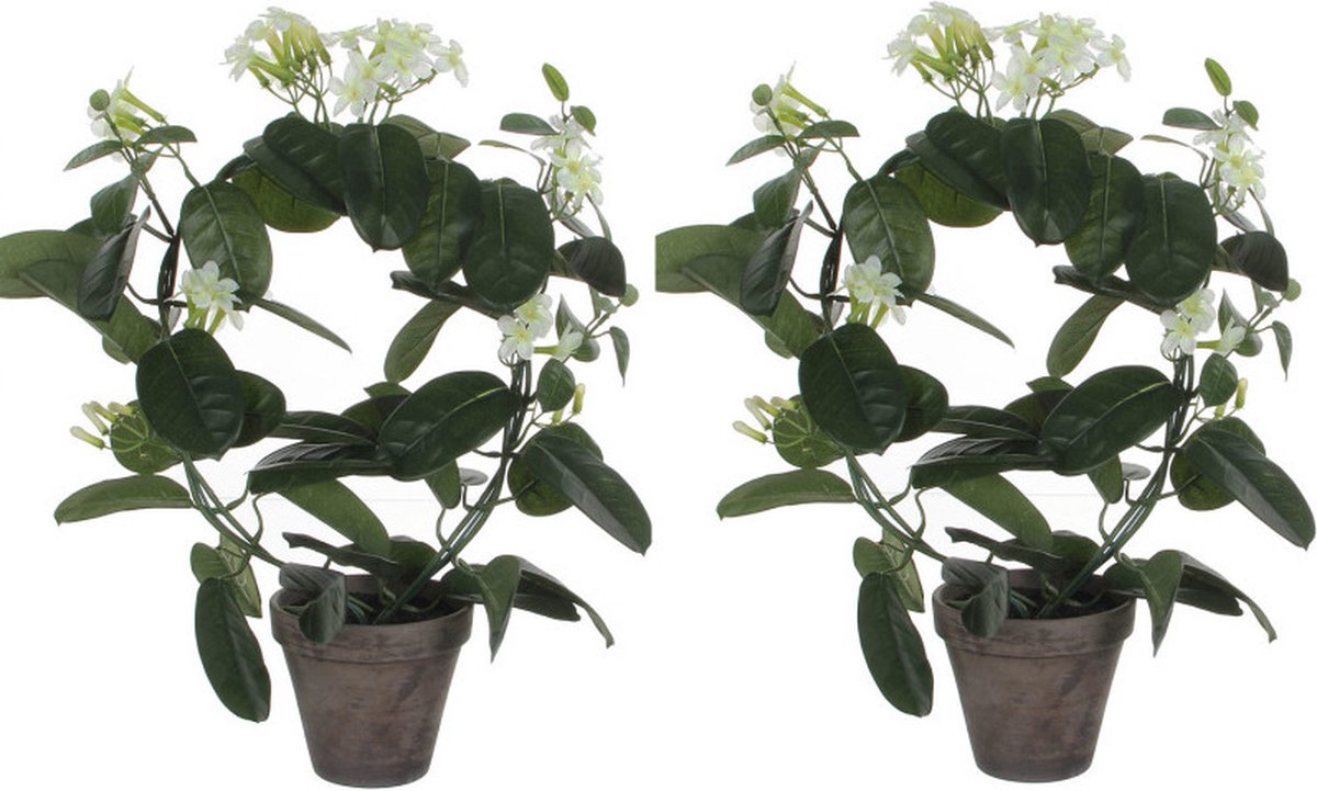 Mica Decorations Kunstplant - 2x stuks - Stephanotis bruidsbloem - wit - H50 x D40 cm