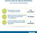 Seresto kattenhalsband duur van bescherming: 7-8 maanden tegen vlooien, 10 weken tegen larven, 8 maanden tegen teken.