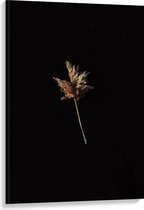 Canvas - Plantje - Bloem - Zwart - 80x120 cm Foto op Canvas Schilderij (Wanddecoratie op Canvas)