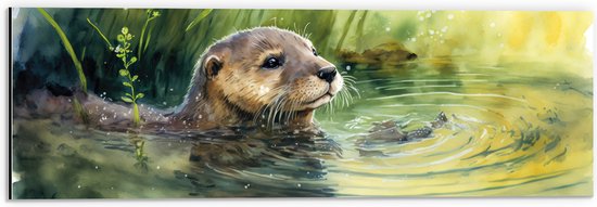 Dibond - Tekening van Zwemmende Otter in de Rivier - 60x20 cm Foto op Aluminium (Wanddecoratie van metaal)